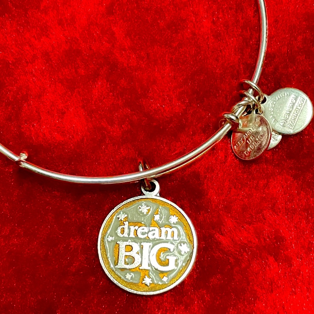 Alex & Ani bracelet